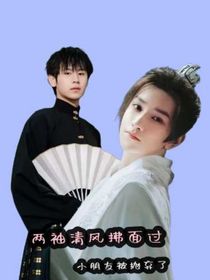 两袖清风拂面过