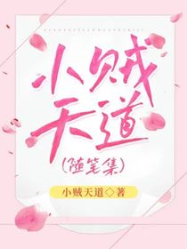 小贼天道（随笔集）
