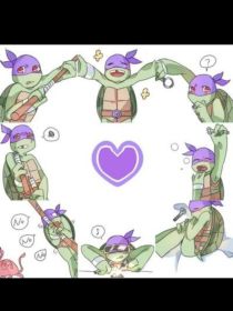 忍者神龟：人外机械会爱上突变乌龟吗？