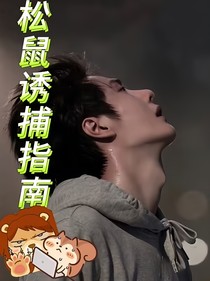 松鼠诱捕指南