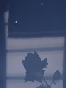 卿浮