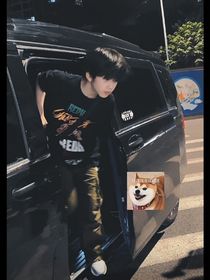 TF家族：我很喜欢她