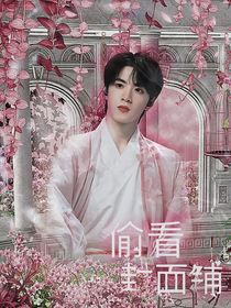 偷看封面铺