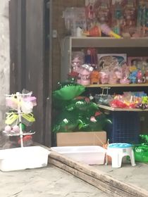 幻想对错