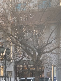 桃艳春