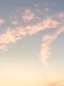 蓮花樓之成為你的救贖