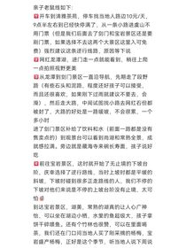 不管年輪曲