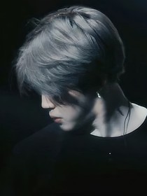 BTS：莫奈的画