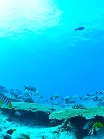 海哲事务所