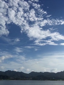 爆炸综艺