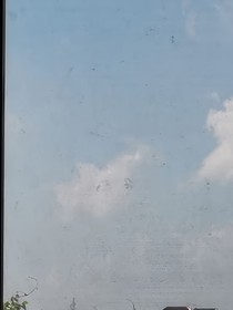我看见你的笑颜