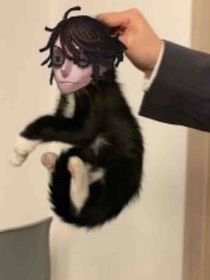 死了勿扰