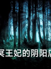 冥王妃的阴阳店