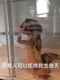 进来挨骂