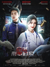 张晚意：京城刑事档案
