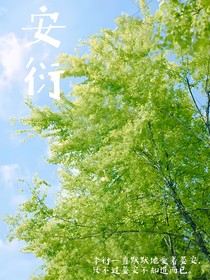 安衍