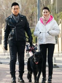 花犬再上征程（he）
