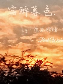 宿醉暮色