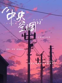 中央空调……