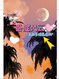 警匪：卧底风云