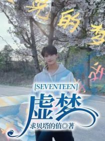 SEVENTEEN：虚梦