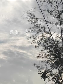 盜墓：尋白