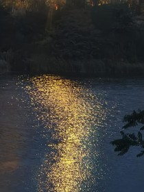 藍辛之美