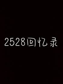 2528回忆录