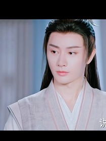 蓝忘机物语