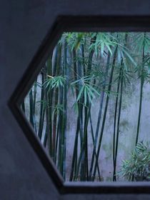 失忆救赎