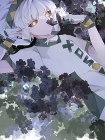 琪落穿越凹凸