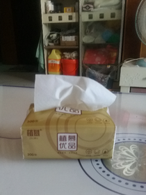 王默是仙境之女