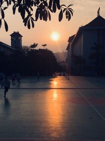 青春不愛