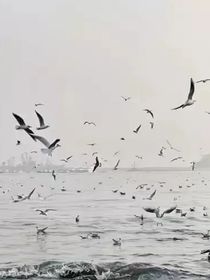极禹：漩涡