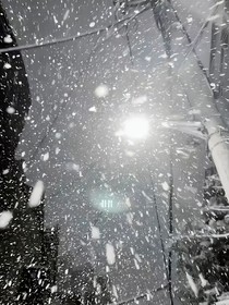 雪中的浪漫