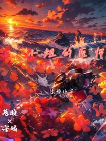 小姐的医师