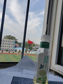 我的长跑青春——涩果