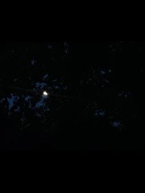 黑夜中的黎明——YL