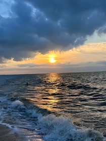 海岸擱淺