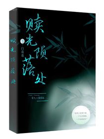 赎光陨落处