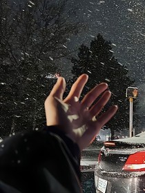 圈里的那些事