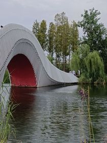 清风拂绿水