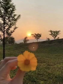一段坎坷的愛情
