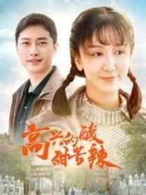 高兴的酸甜苦辣2