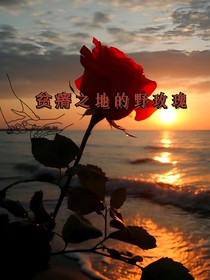 贫瘠之地的野玫瑰