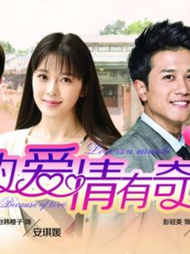 因为爱情有奇迹第三部