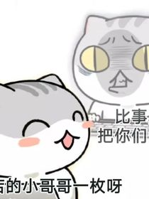 宪子的历喵画室