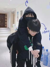 极航：野玫瑰