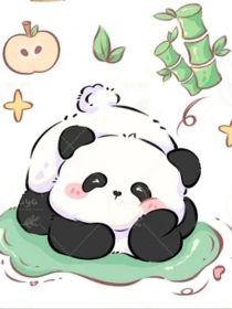 综影视：熊猫阿满