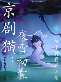 京剧猫：夜雪初霁